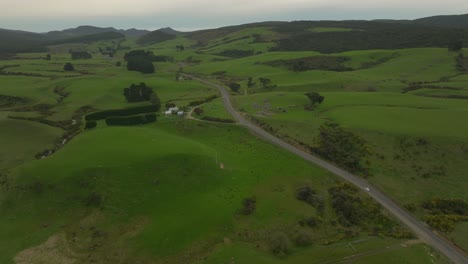 Cattle-farm-land-with-grassy-hills-on-cloudy-day-in-New-Zealand,-Catlins