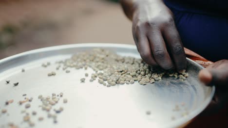 Black-African-hand-sorting-raw-coffee-beans-on-metal-plate---close-up