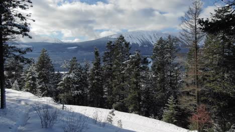 Drohne-Steigt-Im-Verschneiten-Wald-über-Kiefern-Mit-Winterlandschaft-Im-Hintergrund,-Golden-In-British-Columbia,-Kanada