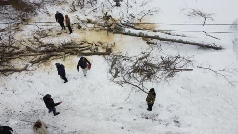Drone-view-of-a-tree-being-chopped-near-the-powerline-in-a-snowy-winter