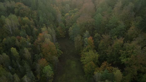 Aerial-view.-Forest-during-sunset.-Revealing-sun.-Flares