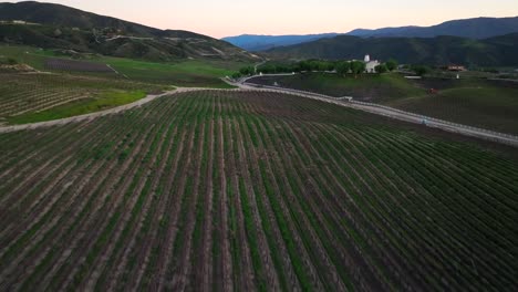 Aerial-view-flying-over-Temecula-wine-country-vineyard-plantation-during-sunset
