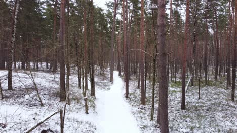 Narrow-snow-covered-hiking-trail-in-woods,-high-angle
