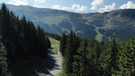 Drone-Vuela-Sobre-Bosque-De-Coníferas-En-Un-Día-Soleado-Con-Montaña-En-El-Fondo,-Alpes-Franceses