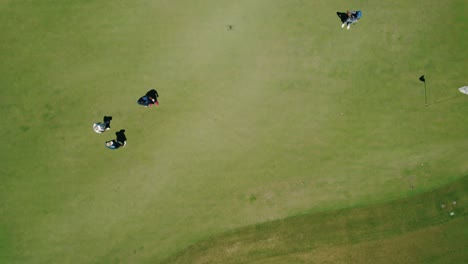 Hohe-Luftaufnahme-Des-Grüns-Auf-Einem-Golfplatz,-Wo-Golfer-Warten,-Bis-Sie-An-Der-Reihe-Sind,-Während-Der-Ball-In-Richtung-Des-Pokals-Rollt