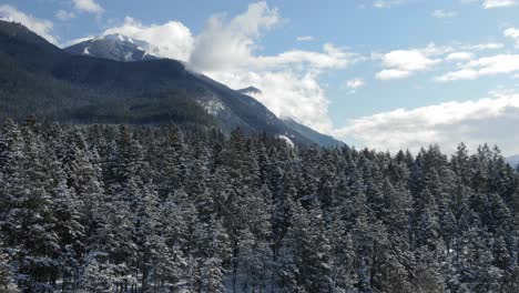 Bosque-Nevado-Durante-La-Temporada-De-Invierno,-Dorado-En-Columbia-Británica,-Canadá