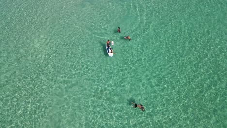 holidaymakers-who-enjoy-themselves-with-a-boat-and-jet-ski-in-the-beautiful-blue-water-of-a-bay