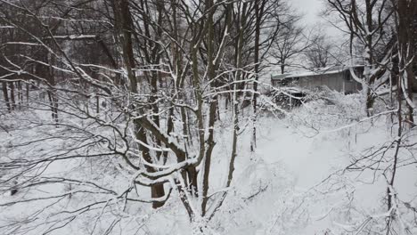 Slow-Dolly-Towards-Snow-Covered-Branches-In-Snow-Covered-Backyard-In-Ontario,-Canada