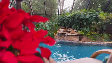 Crystal-blue-pool-with-waterfall-and-bamboo-in-background-with-unfocused-Poinsettia-in-the-foreground