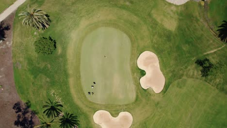 Aerial-top-down-view-of-golfers-in-a-El-Paraíso-Golf-Course-in-Marbella,-Spain