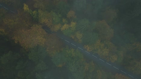 Drone-top-down-view-on-an-empty-road-in-the-middle-of-an-autumn-forest