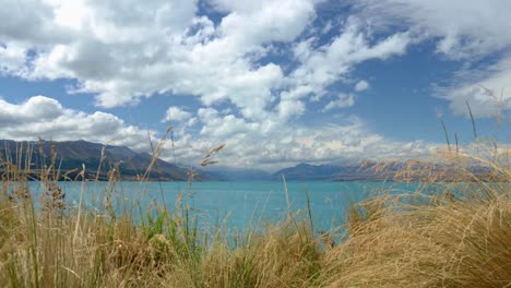 Zeitraffer-Zwischen-Büschen---Weiße-Wolken-Fliegen-über-Den-Blauen-Lake-Pukaki,-Neuseeland