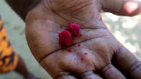 Close-up-of-african-person's-hand-holding-sugar-coated-baobab-fruit-to-eat-as-a-candy
