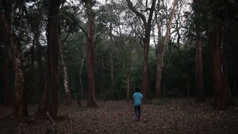 Man-walking-in-the-forest-in-India