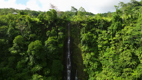Lush-Rainforest-And-Papapapaitai-Falls-In-Upolu-Island,-Samoa---aerial-drone-shot