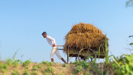 A-hardworking-Asian-farmer's-son-in-white-clothes-pulls-a-wooden-cart-full-of-hay,-capturing-the-reality-of-child-labor-in-agriculture
