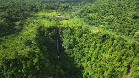 Papapapaitai-Cae-En-Medio-De-Una-Exuberante-Jungla-En-La-Isla-De-Upolu,-Samoa---Toma-Aérea-De-Drones
