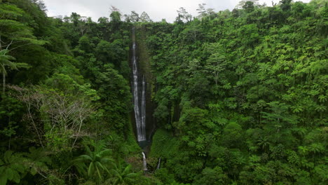 Tall-Papapapaitai-Falls-In-The-Rainforest-Of-Upolu-Island,-Samoa---aerial-drone-shot