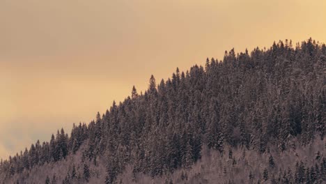 Berg-Mit-Dichten-Nadelbäumen-Vor-Düsterem-Himmel-In-Der-Wintersaison