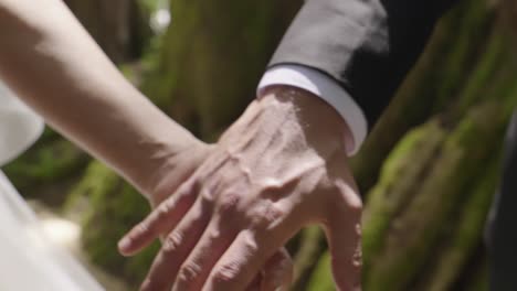 Groom-and-bride-hold-hands-at-their-wedding