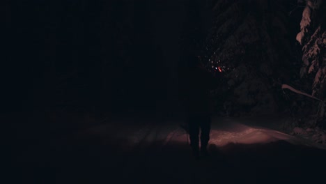 Un-Hombre-Con-Linterna-Caminando-Con-Un-Perro-Mascota-Por-El-Suelo-Cubierto-De-Nieve-Por-La-Noche