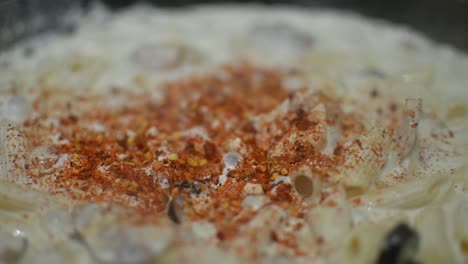 Close-Up-View-Of-Spices-Being-Sprinkled-Onto-Bubbling-Macaroni-Pasta-In-Cream-Sauce