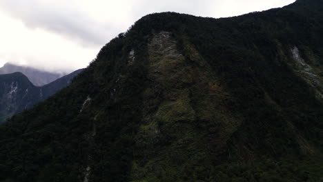 Massive-tree-avalanche-in-Milford-Sound-on-cloudy-day
