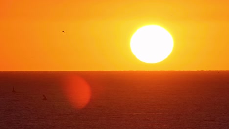 SLOW-MOTION:-Bird-flying-above-ocean-horizon-at-golden-sunset