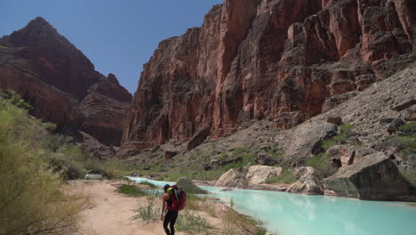 Hiker-in-Oasis-of-Grand-Canyon-National-Park,-Hopi-Salt-Hiking-Trail,-Turquoise-Little-Colorado-River-Water,-Slow-Motion