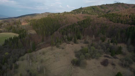 Aerial-establishing-shot-of-the-dense-woodlands-at-the-lower-Tatras-Mountains,-Slovakia