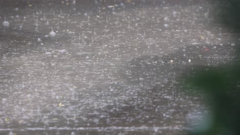 Lluvia-Cayendo-Sobre-El-Suelo-Con-Charcos