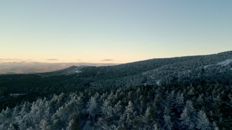 Aerial-shot-snowy-forest-stretching-to-the-horizon-with-the-sun-low-in-Manzaneda,-Galicia