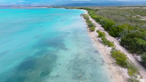 Aerial-over-pristine-Caribbean-coastline-with-white-sand-and-lush-vegetation