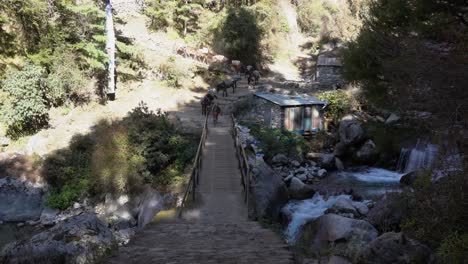 Some-pack-horses-come-down-a-trail-to-cross-a-small-bridge-over-a-river-on-the-Everest-Base-Camp-Trail