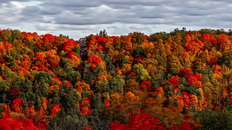 Brillante-Herbstfarben-Mit-Einer-Wolkenlandschaft-Im-Zeitraffer-über-Einem-Laubwald