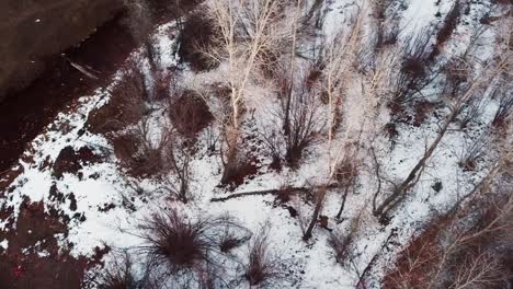 Menschen-Mit-Waffen-Laufen-Durch-Bäume-Im-Verschneiten-Wald-Im-Hobble-Creek-Canyon,-Utah-County,-Utah