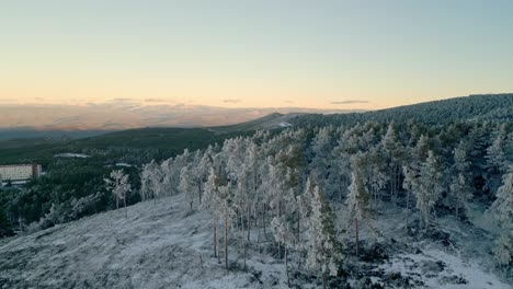 Ascending-aerial-shot-flying-over-a-snowy-forest-in-a-mountainous-landscape-in-Manzaneda,-Galicia