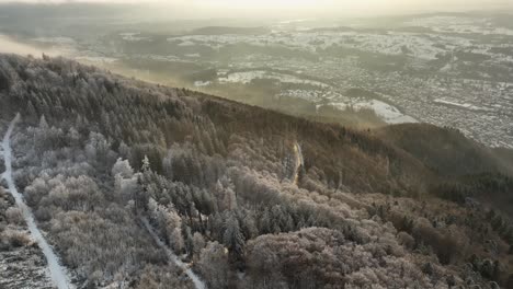 An-Einem-Kalten-Wintertag-Zieht-Nebel-über-Die-Mit-Weißem-Schnee-Bedeckten-Bäume-Auf-Dem-Hügel