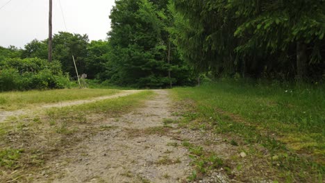 Rural-dirt-road-with-grass-around,-low-angle-dolly-forward-view