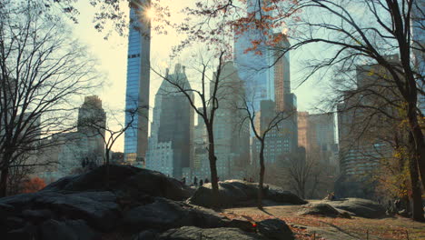 Roca-Descansando-En-Central-Park-Con-Rascacielos-Y-Oficinas-De-La-Ciudad-De-Nueva-York-En-Estados-Unidos