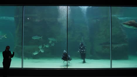 Charismatic-speaker-talks-to-guests-as-scuba-divers-enter-shark-tank