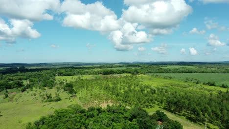 Vista-Giratoria-De-Campos-Verdes-Bajo-Un-Hermoso-Cielo-Nublado-En-Paraguay