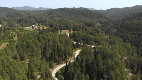 Drone-Video-over-dense-pine-forest-country-winding-road-Mountain-Summer