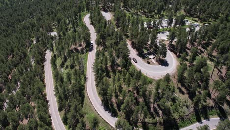 Aerial-View-of-Windy-Road-and-Conifer-Forest-in-Custer-State-Park,-South-Dakota-USA,-Drone-Shot
