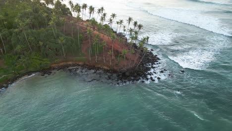 Aerial-of-the-Sri-Lankan-Shore,-full-of-Coconut-Trees,-during-Sunrise