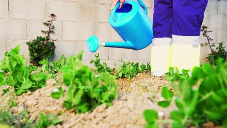 Person-watering-an-orchard-with-a-blue-watering-can