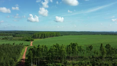 Herrliche-Entspannende-Naturstille-In-Den-Grünen-Feldern-Paraguays
