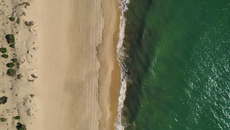 Top-down-aerial-view-above-contrasting-golden-sandy-beach-and-emerald-green-ocean-coastline
