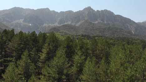Drone-video-flying-over-trees-revealing-Mount-Tymphe-Tymfi-Greece-sunny-summer-day