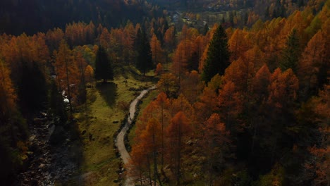 Reserva-Natural-De-Val-Di-Mello-Con-Vibrantes-Abetos-Rojos-En-Otoño-En-Lombardía,-Italia